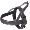 Image de Nobby Harnais norvégien Linen DeLuxe (L, Chien, Promenade), Collier + laisse