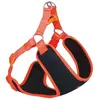 Image de Nobby Harnais Black Mesh Reflect (S, Chien, Général), Collier + laisse