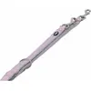 Image de Nobby CLASSIC PRENO SMYCZ REG.M-L LILA 200cm,20-25mm (L, M, Chien), Collier + laisse
