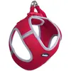 Image de Nobby Delight (Chien, Général), Collier + laisse