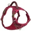 Image de Nobby Sporty (L, Chien, Promenade), Collier + laisse