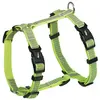Image de Nobby Full Reflect (L, XL, Chien, Promenade), Collier + laisse