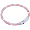 Image de Nobby Bande lumineuse à LED PUPPY (S, Chien), Collier + laisse