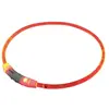 Image de Nobby Bande lumineuse à LED VISIBLE (L, Chien), Collier + laisse