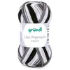 Image de Fil à tricoter LISA PREMIUM COLOR - Grundl - certifiée Oeko-Tex(...) - 21 Multicolore