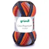 Image de Fil à tricoter LISA PREMIUM COLOR - Grundl - certifiée Oeko-Tex(...) - 30 Multicolore