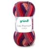 Image de Fil à tricoter LISA PREMIUM COLOR - Grundl - certifiée Oeko-Tex(...) - 31 Multicolore