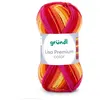 Image de Fil à tricoter LISA PREMIUM COLOR - Grundl - certifiée Oeko-Tex(...) - 34 Multicolore