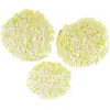 Image de Kärcher Tampons de polissage pour pierre/ linoléum/ PVC, Nettoyeur humide : accessoires, Blanc