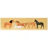 Image de chevaux