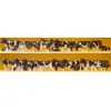 Image de vaches noires et blanches 30 pieces