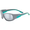 Image de Uvex, Unisexe, Lunettes de sport, sportstyle 514 (Gris Mat, Miroir Argent), Gris