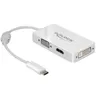 Image de Delock - Adaptateur vidéo externe - USB-C - DVI, HDMI, VGA - blanc