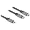 Image de Delock 2en1 (1.20 m, USB 2.0, 100 W), Câble USB