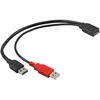 Image de Delock Câble USB en Y (0.30 m, USB 3.2 Gen 1, 4.50 W), Câble USB