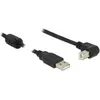 Image de Delock USB A   USB B (0.50 m, USB 2.0), Câble USB