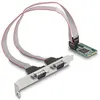 Image de DeLock Carte Contrôleur Mini PCI-Express vers 2 ports RS-232 D-Sub