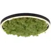 Image de Leuchten Direkt, Plafonnier, Green Ritus (2650 lm)