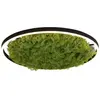 Image de Leuchten Direkt, Plafonnier, Green Ritus (3650 lm)
