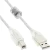 Image de InLine USB A   USB B (0.30 m, USB 2.0), Câble USB