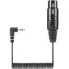Image de Sennheiser KA 600 Câble audio XLR (3 broches) (0.40 m, Câbles XLR), Câble audio