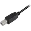 Image de Sharkoon USB 2.0 A auf B (0.50 m, USB 2.0), Câble USB