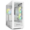 Image de Boîtier Sharkoon Rebel C60 RGB Moyen Tour ATX Noir