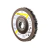 Image de Disque Hermes WEBRAX MULTICLEAN sur plateau fibre