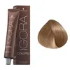 Image de Coloration permanente 10 minutes chrono, 8-00 : blond clair intense, 60ml, schwarzkopf,