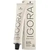 Image de Schwarzkopf, Coloration pour cheveux, Silverwhite Slate Grey Igora Royal Absolutes (Gris ardoise)