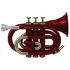 Image de Roy Benson Student Series Trompette de poche Sib PT-101R laquée rouge