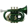 Image de Roy Benson Student Series Trompette de poche Sib PT-101E vernis vert