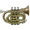 Image de Roy Benson Student Series Trompette de poche Sib PT-101G
