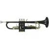 Image de Roy Benson Student Series Trompette en Sib TR-101K anthracite