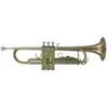 Image de Roy Benson Student Pro Series Trompette en Sib TR-202G
