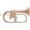 Image de Roy Benson Bugel Bb professionnel avec étui léger et fonction sac à dos (Bugle), Instrument à vent, Or