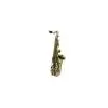 Image de Saxophones ROY BENSON AS-201 - POUR ENFANT (VERNI) Saxophone Alto étude