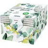 Image de Multi, Cotons démaquillants, Disques ronds Bel Premium 75 unités (75x)