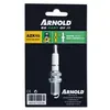 Image de Arnold 3121-c bougie d'allumage champion 5-0031 rc12yc takter pour 4