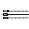 Image de Avinity Câble jack (1.50 m, Câble AUX, Câbles Cinch), Câble audio