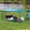 Image de Enclos hexagonal avec filet de protection pour rongeur - L 58cm x l 38cm
