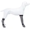 Image de TRIXIE Chaussette de protection pour chiens Gris Taille M 19432
