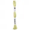 Image de Fil à broder mouliné Uni - Rico Design(...) - 198 Vert
