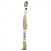 Image de Fil à broder mouliné Uni - Rico Design(...) - 217 Marron