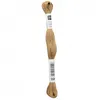 Image de Fil à broder mouliné Uni - Rico Design(...) - 224 Marron