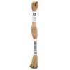 Image de Fil à broder mouliné Uni - Rico Design(...) - 231 Marron