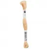 Image de Fil à broder mouliné Uni - Rico Design(...) - 239 Marron