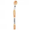 Image de Fil à broder mouliné Uni - Rico Design(...) - 240 Marron