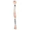 Image de Fil à broder mouliné Uni - Rico Design(...) - 252 Rose