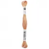 Image de Fil à broder mouliné Uni - Rico Design(...) - 270 Marron
